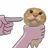 河川之主