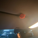 锂皮芃
