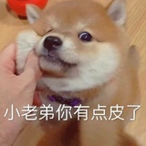 旅人