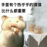 狗吃巧克力