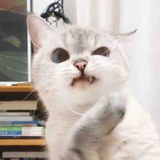 夕程