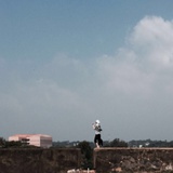 sasa