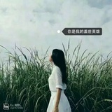 一世盖碗茶情