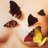 🦋