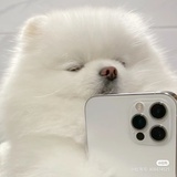 橘子味扑热息痛