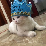 但愿长醉不复醒