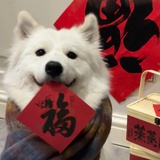 山河至此_