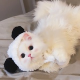 yoki💕