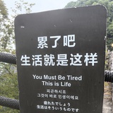 都灵之马