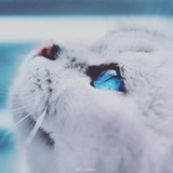 经纬线～Nana🐱