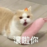 蒙娜