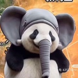 东方神秘尼奥