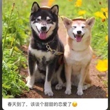 山知道我