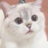 遥闻海水咸咸咸