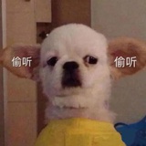 啊不咔咔咔啦多