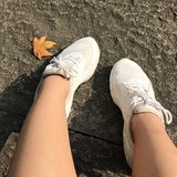 十二