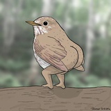 圆滚滚