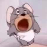 哈利晚安