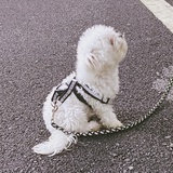 -张小张_
