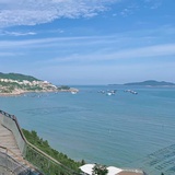 睡在树上了