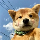 十三月末