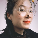 莲