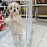 布布妈妈の世界