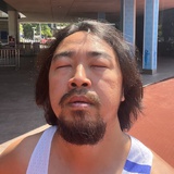 树硕