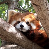 七月在冬眠