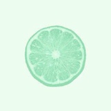 🍃🍉