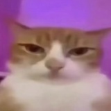 人