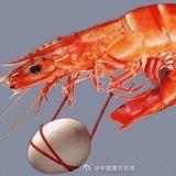 豆友144122089