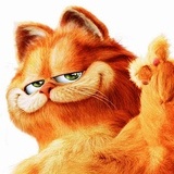 芝士加肥猫
