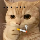 不知道起啥id