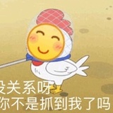 一只很皮的球