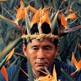 西佳敬