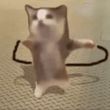 不爱小龙虾