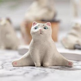 碧海蓝天