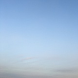 熊猫奶盖