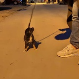 檀乙