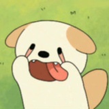 别熬夜（脱发版