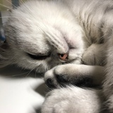 日常想消失