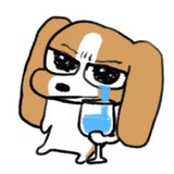 甜虾刺客🥷