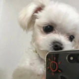 滴滴