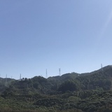 默