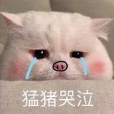 Bunnynonono