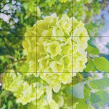 暮然回首