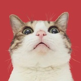 阿呔