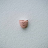 师鲸