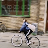 明年给你送花来